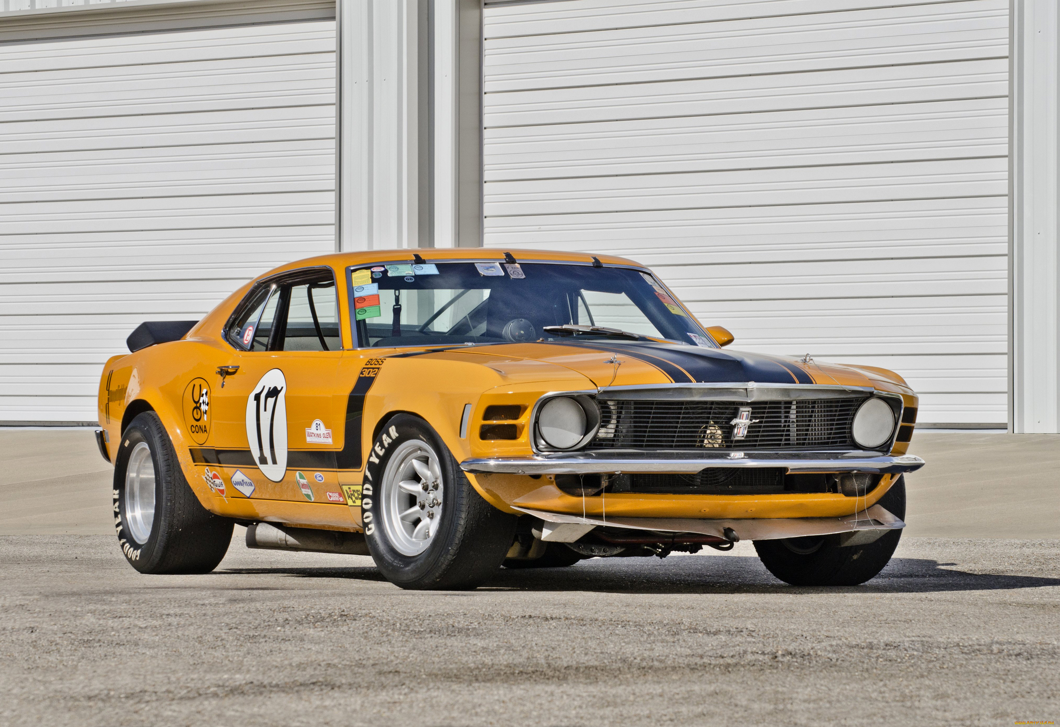 , mustang